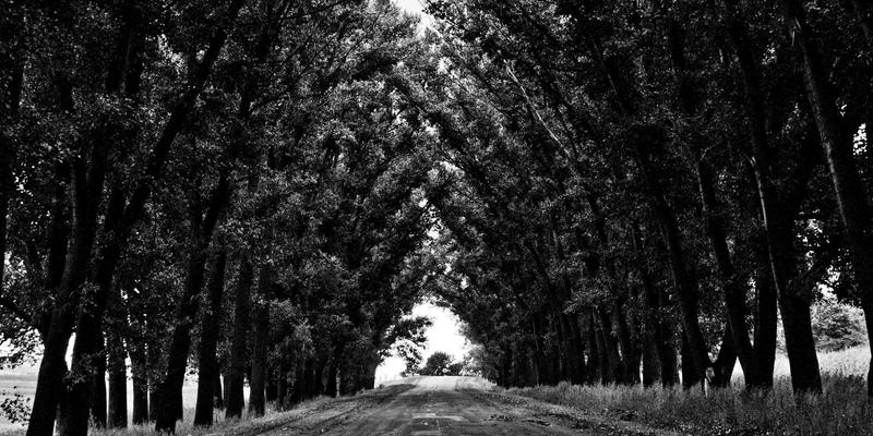 一心一意婚姻指导：如何通过情感连接调和夫妻性生活