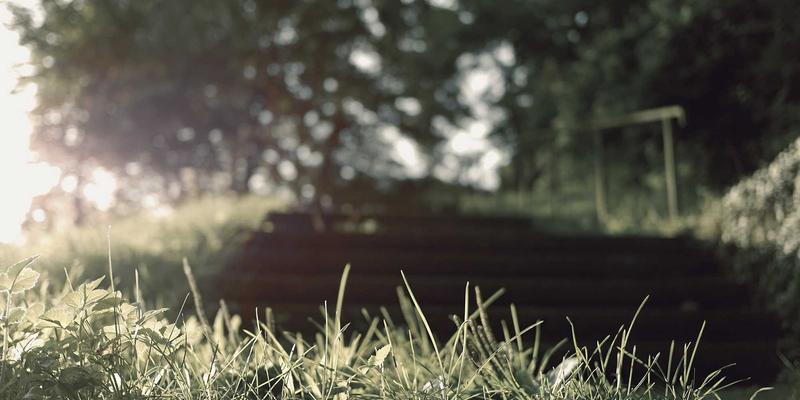 一心一意:情感咨询与婚恋服务的核心技巧与真诚之道