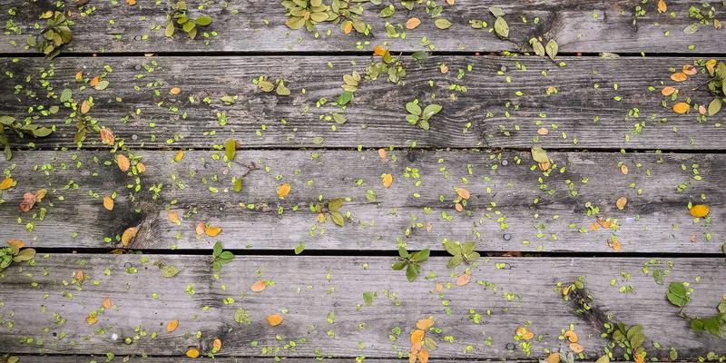 一心一意经营情感：高敏感人群的婚恋自我调节与沟通指南