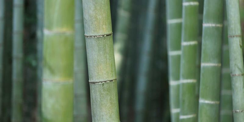 产后抑郁如何冲击夫妻关系？婚姻指导与情感修复干预方案