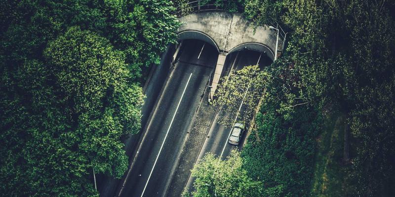 异地恋如何通过专业婚恋服务维持“一心一意”的信任与亲密感