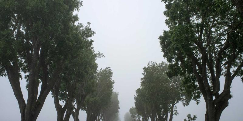 性格极端差异伴侣的相处之道：专业咨询中的冲突转化与优势互补策略