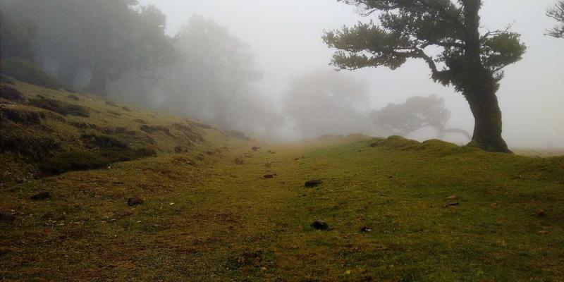 恋爱技巧与婚姻指导：专业婚恋服务如何助你识别并摆脱情感操控（煤气灯效应）
