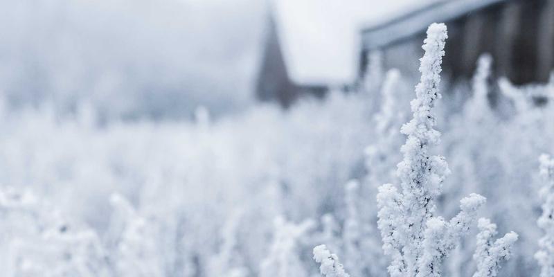 情感咨询师解析：长期关系中的情感倦怠与重燃激情方法