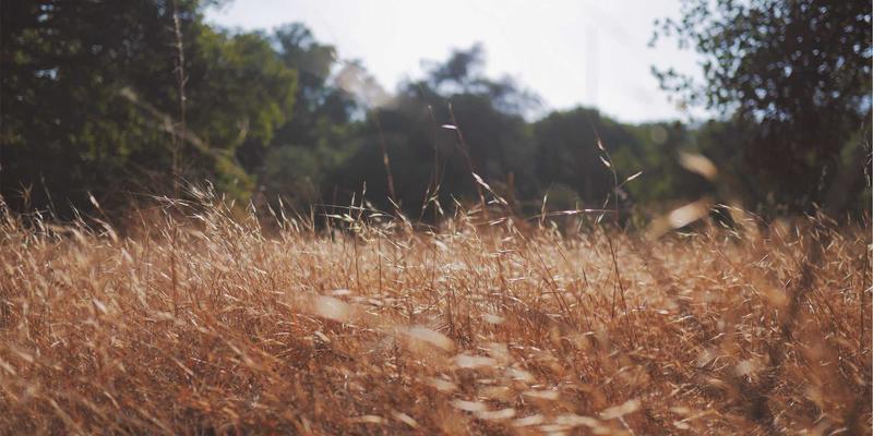 情感咨询:当关系出现裂痕,如何一心一意修复,重拾亲密?